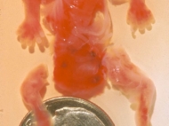 07_weeks-031_medium